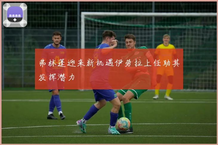 弗林蓬迎来新机遇伊劳拉上任助其发挥潜力